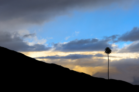 Benefits of a Palm Springs Rehab Benefits of a Palm Springs Rehab