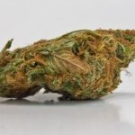 Fighting Teen Marijuana Addiction